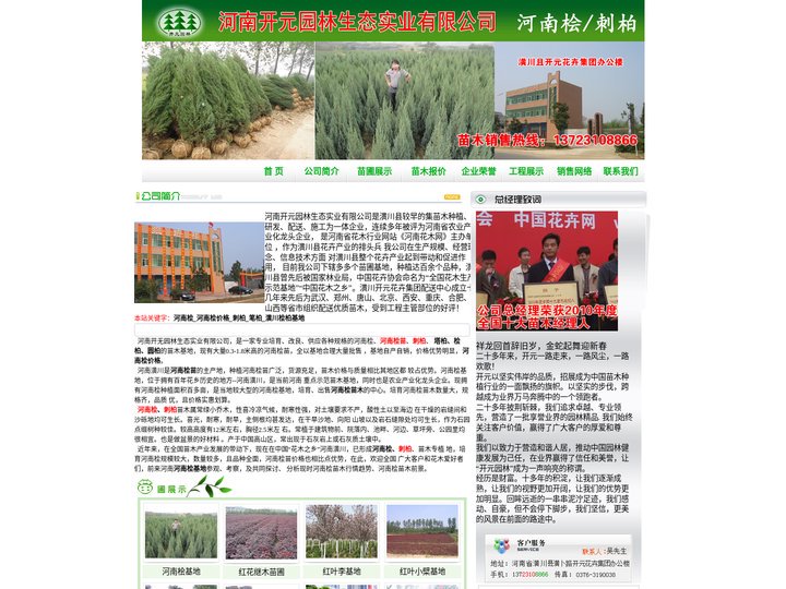 河南刺柏