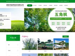 樱花基地_景观松价格_白皮松基地_五角枫价格|诚信为先-泰安市富坤苗木有限公司