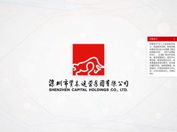 深圳市资本运营集团有限公司