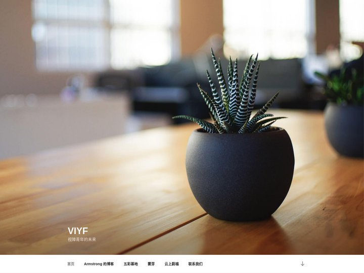 VIYF – 视障青年的未来
