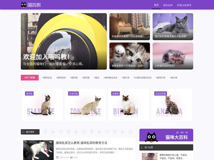 猫集市-分享养猫注意事项-宠物猫的品种及排行-猫的图片