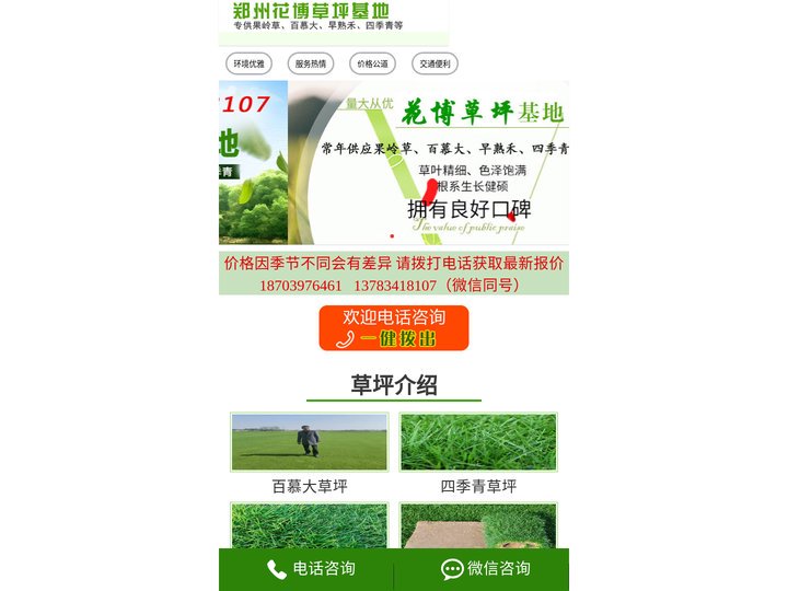 河南草坪基地|河南果岭草直销|郑州百慕大批发|中牟草坪基地-花博草坪基地【官网】