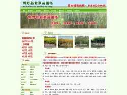 金枝槐 - 金叶榆 - 红叶海棠 - 金丝垂柳 - 千头椿 - 河北博野县君豪苗圃场·首页
