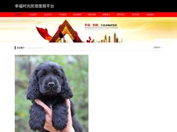 幸福时光民宿度假平台