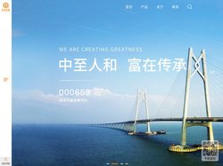 珠海中富实业股份有限公司网站