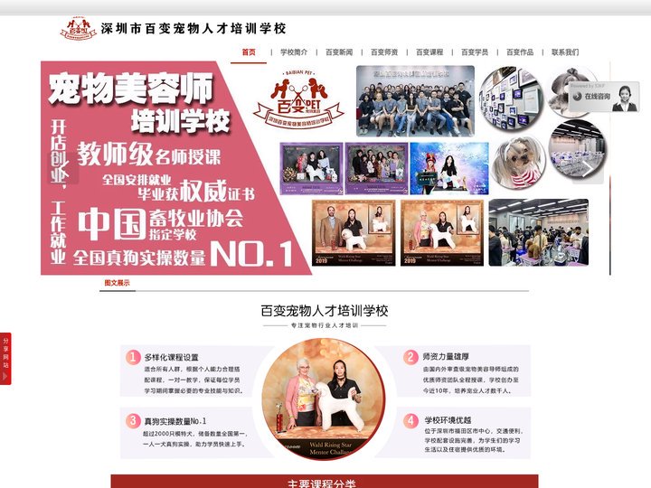 深圳市百变宠物美容师培训学校-宠物美容学校