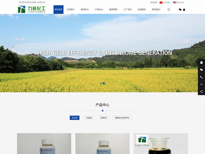 石家庄力格化工有限公司