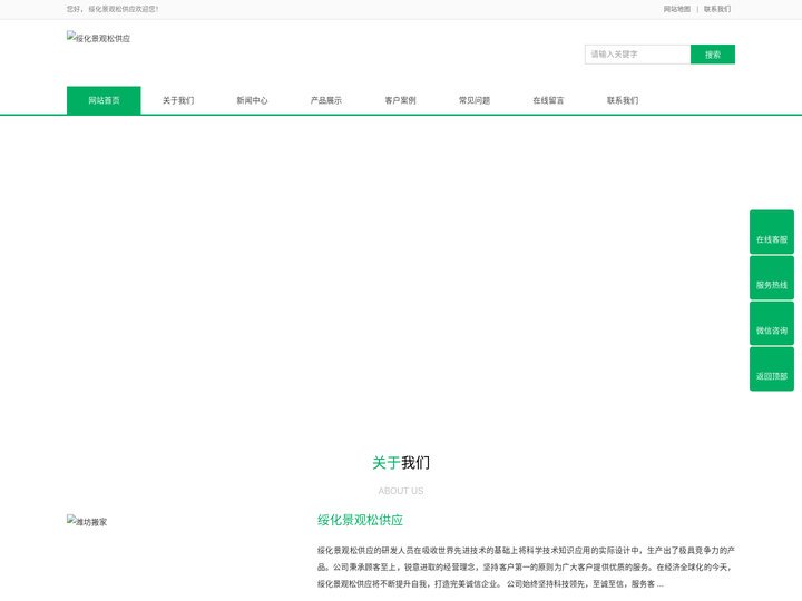 绥化景观松供应-造型油松价格-黑松产地批发-绥化造型松基地