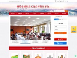 枞阳五务公开平台