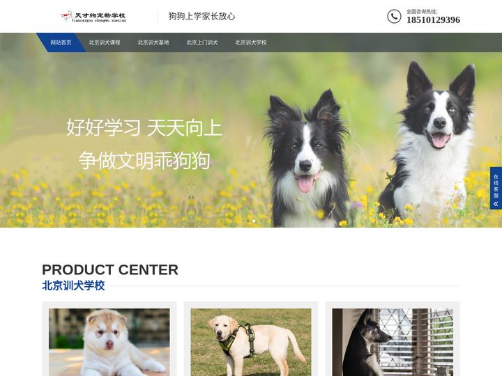 北京训犬学校-北京训犬基地-北京上门训犬