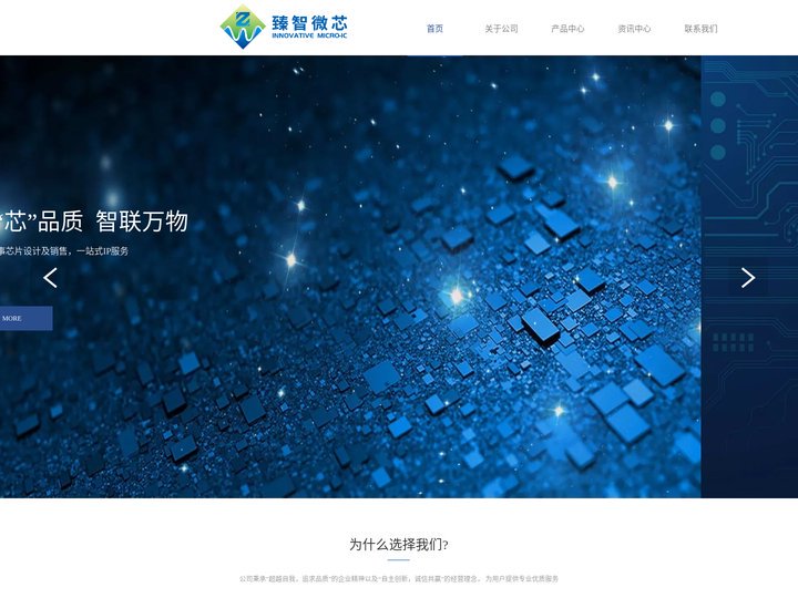 佛山臻智微芯科技有限公司