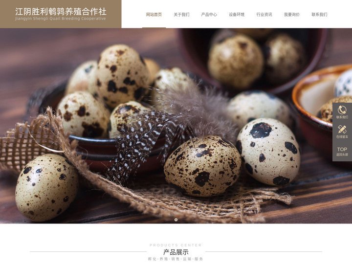 小鹌鹑苗-种鹌鹑-鹌鹑蛋-鸟粪-胜利鹌鹑养殖合作社|胜祥养殖场