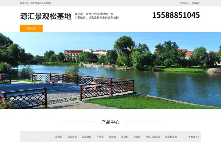 源汇造型黑松-泰山迎客松-源汇平顶松种植-源汇景观松基地