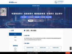 财务审计报告收费标准2024_财速通-出具年度财务报表审计_会计师事务所出具验资评估报告
