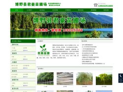 河北垂柳，金丝垂柳，馒头柳，旱柳价格，柳树基地 - 博野县君豪苗园林