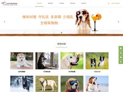 北京训狗学校-北京训狗基地-北京上门训狗
