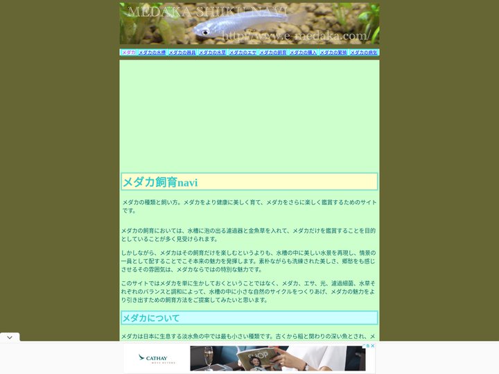 メダカ飼育navi - メダカの種類と飼い方。