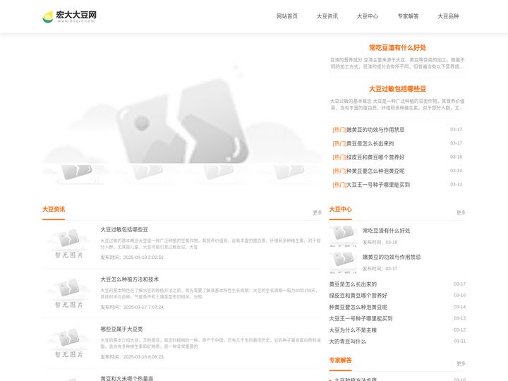宏大大豆网