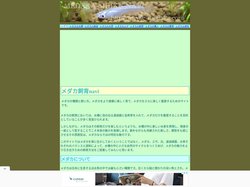 メダカ飼育navi - メダカの種類と飼い方。