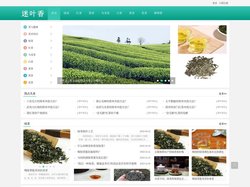 迷叶香—介绍茶叶知识