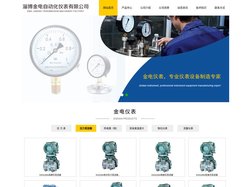 压力表,磁翻板液位计,DCS,PLC生产厂家,金电仪表,淄博金电自动化仪表有限公司