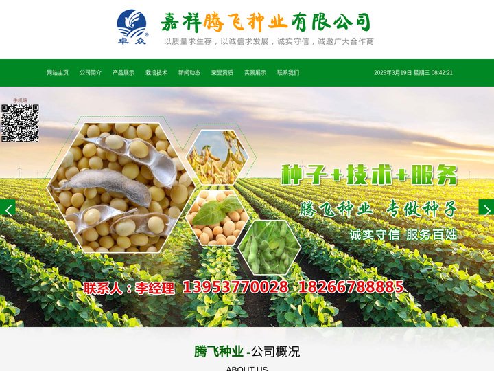 嘉祥豆种|郓豆1号|大豆种子价格|油6019|中豆43|中豆57|中豆63|嘉祥大豆|齐黄34-嘉祥腾飞种业有限公司