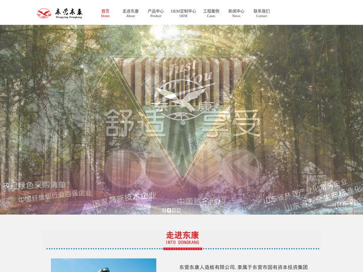 密度板|中纤板|人造板|阻燃板|无醛板—东营东康人造板有限公司