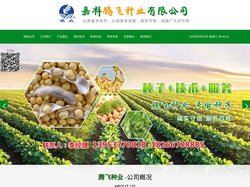 嘉祥豆种|郓豆1号|大豆种子价格|油6019|中豆43|中豆57|中豆63|嘉祥大豆|齐黄34-嘉祥腾飞种业有限公司