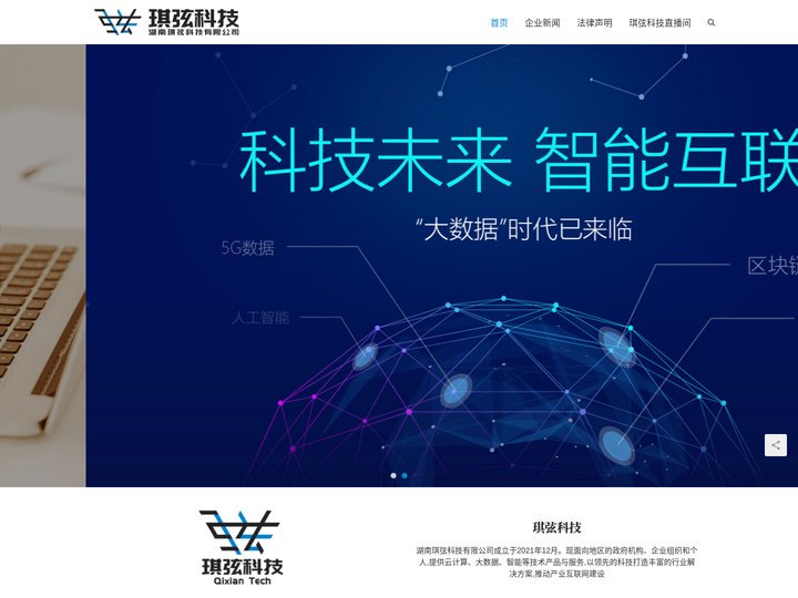 湖南琪弦科技官网