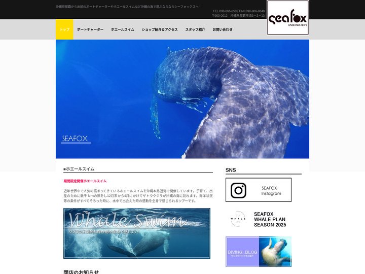 沖縄ダイビング｜那覇からのボートチャーターやホエールスイムならシーフォックスへ | 沖縄県那覇から出航のボートチャーター