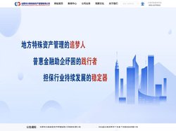 合肥市兴泰担保资产管理有限公司