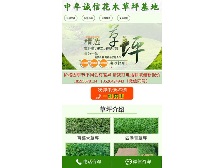 郑州草坪基地|中牟草坪批发|河南草坪批发—中牟诚信花木草坪种植场【官网】