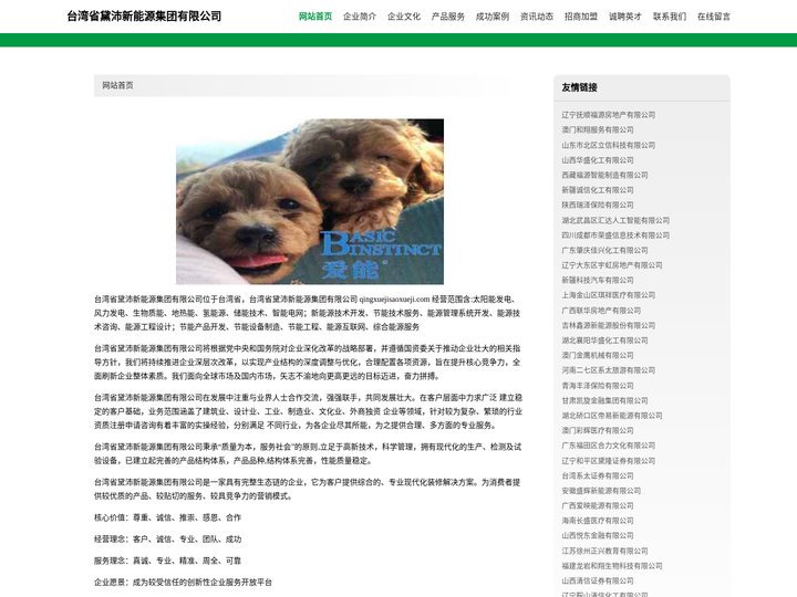 台湾省黛沛新能源集团有限公司 - 首页