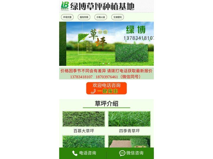 河南草坪基地|许昌草坪基地|鄢陵草坪基地|许昌百慕大草坪基地-许昌绿博草坪种植基地【官网】