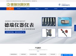 山东德瑞仪器仪表有限公司