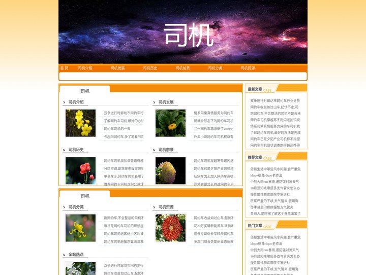 巧蕊