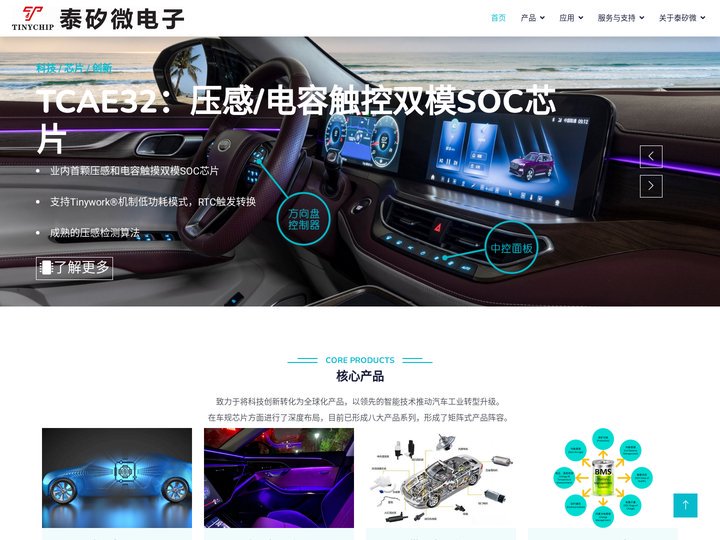 泰矽微电子 - 高性能专用SoC芯片发明家