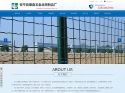 电焊网-镀锌电焊网-热镀锌电焊网 - 安平县廉鑫五金丝网制品厂