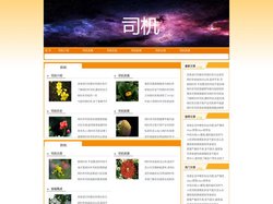 巧蕊