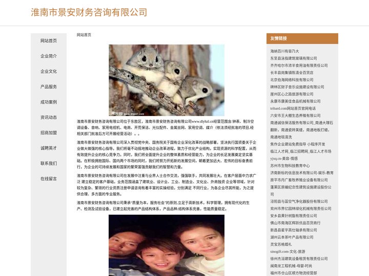 淮南市景安财务咨询有限公司
