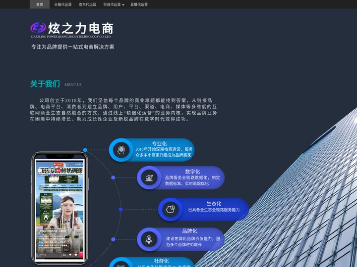 炫之力电商