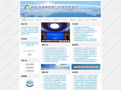 山东省对外投资与经济合作商会