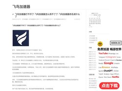 飞鸟加速器