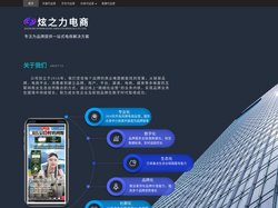 炫之力电商