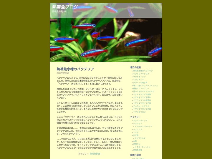 熱帯魚ブログ