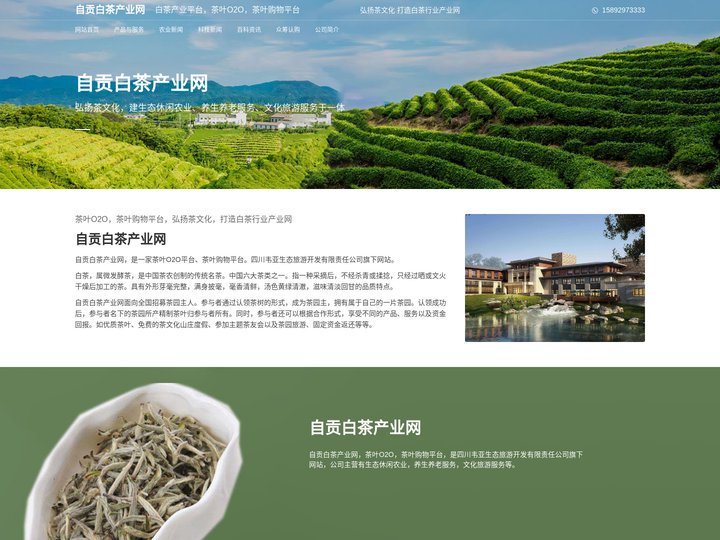 自贡白茶产业网：茶叶O2O|茶叶购物平台