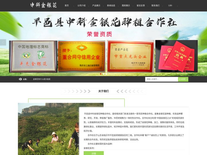 金银木|金银木价格|金银木批发-平邑县中科金银花种植合作社