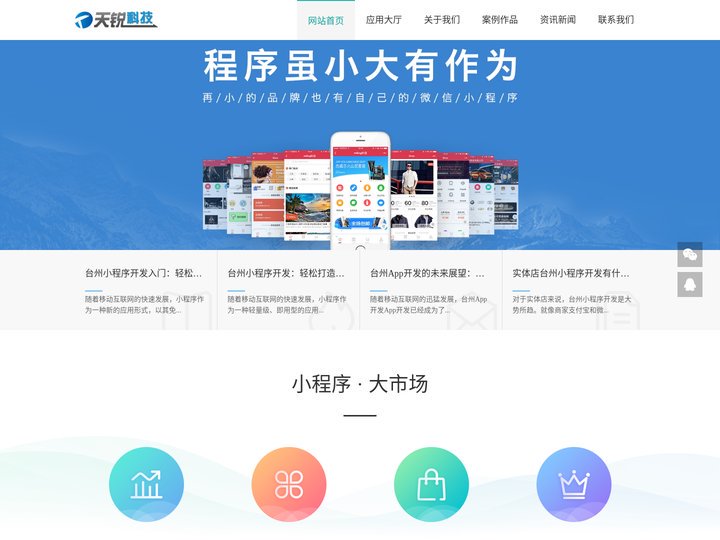 台州微信小程序开发定制设计_APP开发定制_台州天锐网络科技有限公司