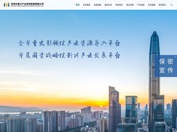 深圳市重大产业投资集团有限公司