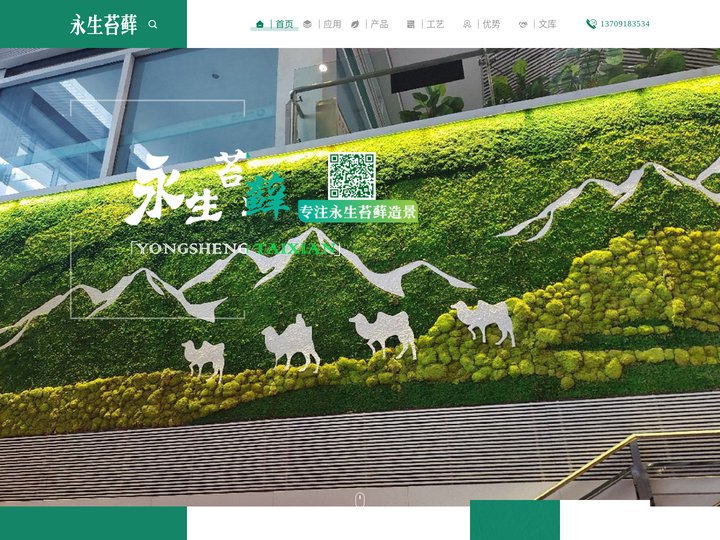 永生苔藓|青苔|绿苔|陕西永生苔藓|西安永生苔藓|永生苔藓墙|永生苔藓景观